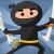Ninja Essays icon
