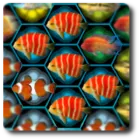 Fish Match icon