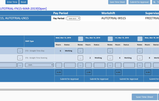 Coexsys Project Time Tracking Cloud screenshot 1