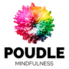 Poudle Mindfulness icon