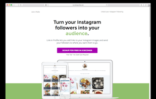 Link in Profile screenshot 1