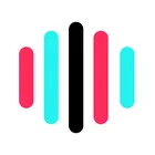 TikTok Voice icon