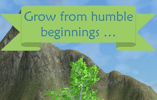 My Aviary screenshot 1