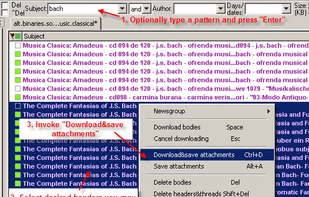 Usenet Explorer screenshot 2