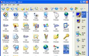 Sib Icon Extractor screenshot 1
