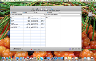 Moroshka screenshot 1