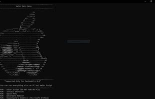 Valor screenshot 2