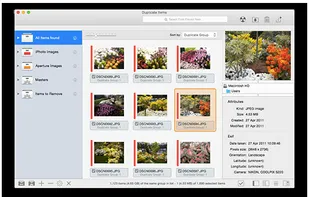 Tidy Up screenshot 3