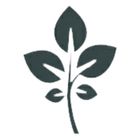 GrapeVine Social icon