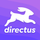 Directus icon