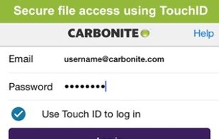 Carbonite screenshot 2