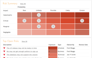 SpiraPlan - Risk Module