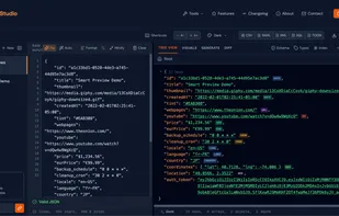 Json Purrser screenshot 1