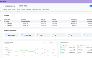 Gain detailed financial insights on application page, including monthly revenue and expense trends, key decision-making metrics, fraud reports, and your custom metrics.