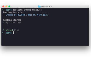 TestCafe screenshot 2