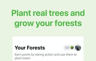 LiveGreen screenshot 1