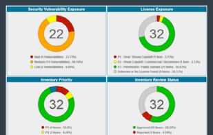 Revenera FlexNet Code Insight screenshot 1