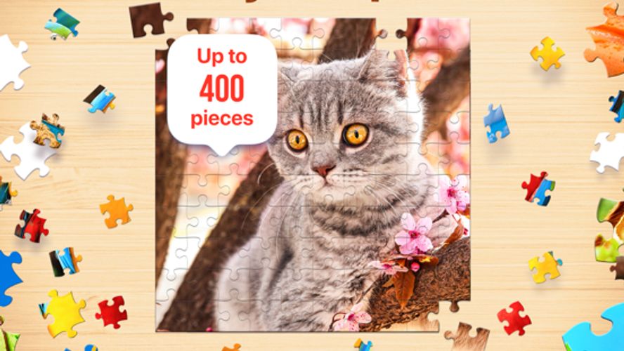 Easybrain Jigsaw Puzzles Enjoy tons of high quality jigsaw puzzles