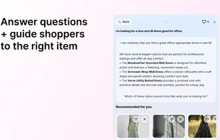 Recomaze AI Agent screenshot 1