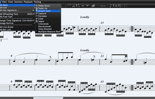 Adding a mark in Musink Lite