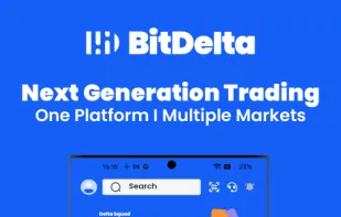 BitDelta screenshot 1