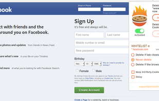 Self Destroying Cookies screenshot 1