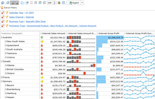 Ranet OLAP screenshot 2
