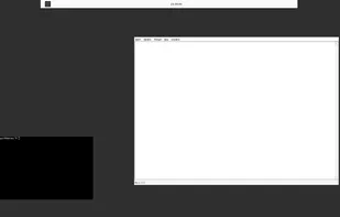 ProgwiDE 1.0 with XTerm and Wine Notepad, using evilwm.
