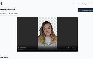 VideoBGRemover screenshot 1