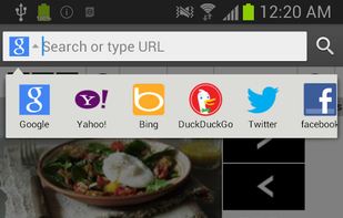 Exsoul Web Browser screenshot 3