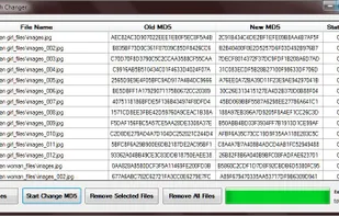 MD5-Hash-Changer screenshot 1