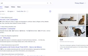 Startpage screenshot 2