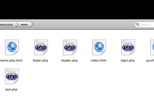 File Listing with Small Icons