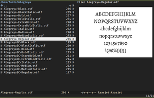 This can be used with überzug to implement font preview within terminal file managers such as vifm.