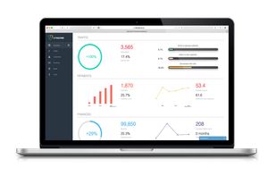 Executive dashboard