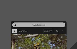 Gear Browser screenshot 1