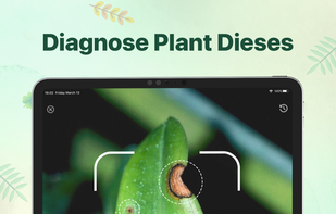 Plant identifier - Find Insect screenshot 1