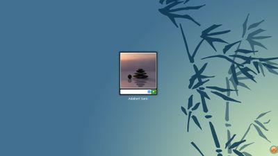 The logon screen