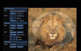 DragGAN screenshot 1