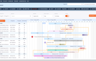 Gantt Chart Dashboard