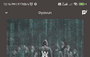 Gyawun screenshot 2