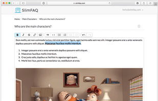 SlimFAQ screenshot 1