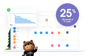Salesforce Platform screenshot 1