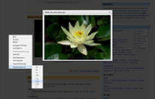 Faster Video screenshot 1