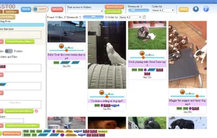 Video Previews:
Videos can be played directly both in explorer and search results cards, same as audios.