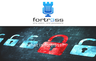 Fortr3ss screenshot 2