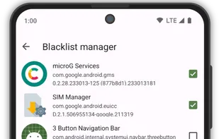 Aurora Store screenshot 2