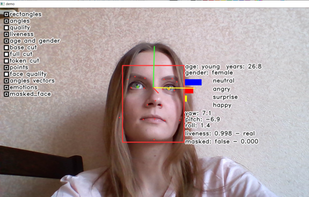 Face Recognition SDK screenshot 1