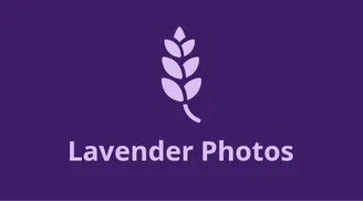 Introducing Lavender Photos v1.0.0: new interface, video editor & AVIF support image