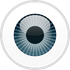 ESET Endpoint Security icon
